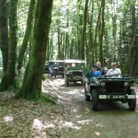Premier arret, Le Bois Du Thouraud