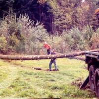 Débardage de bois