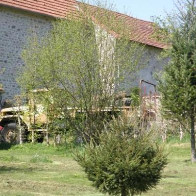 REO M34 PLATEAU